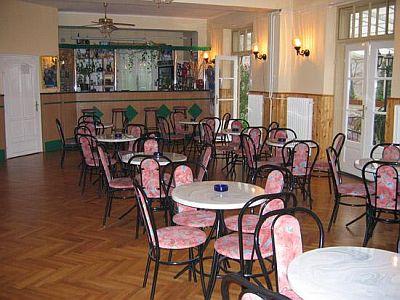 Billiges Hotel am Plattensee - Hotel Vonyarc - 2-Sterne-Hotel in wunderschöner Umgebung, nicht weit von Heviz - Hotel Vonyarc - Vonyarcvashegy - Balaton - Plattensee