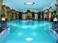 Schwimmbad in Janus Boutique Wellness Hotel Siofok